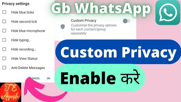 Unlocking Hidden Settings in GB WhatsApp A Power User’s Guide 3
