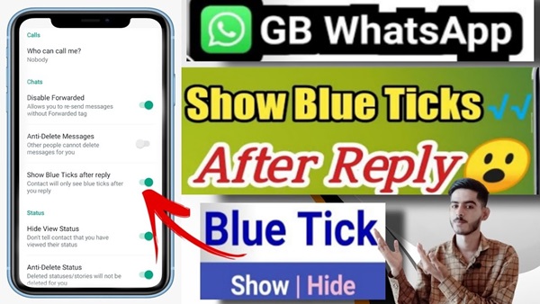 Voice Activated Themes Is It Possible in Future GB WhatsApp Builds 4